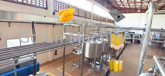100T/D機械を作る産業マンゴの込み合いの加工ライン新鮮な果物