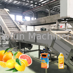 専門の蜜柑の柑橘類のプロセス用機器5T/H ISOの証明書
