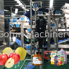 食品等級のステンレス鋼りんごジュースの製造プラント50T/Dターンキー サービス