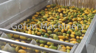 率を得る高く有効な小規模のマンゴの製造プラントの最高