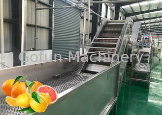 専門の蜜柑の柑橘類のプロセス用機器5T/H ISOの証明書