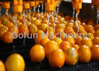 産業柑橘類の加工ラインオレンジレモン加工装置1年の保証