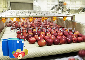 専門のフルーツの加工ラインAppleおよびナシ ジュースの生産機械