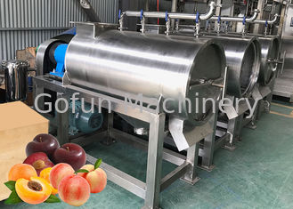 乾燥するSS 304のフルーツの加工ライン モモの製造プラント ジュースのピューレ