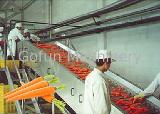専門のにんじんの製造プラント/果物と野菜のプロセス用機器