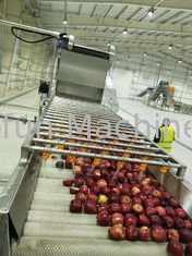高性能のりんごジュースの加工ライン機械SUS316 30T/H 7.5kw
