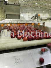 産業自動りんごジュースの処理機械1.5T/H SU