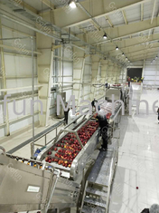食品工業のための380V SU 304のりんごジュースの加工ライン
