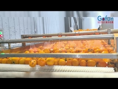 工業用NFCジュース加工生産ライン,清掃,ジュース処理,不妊処理,