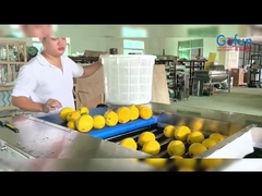 ローラーソート機