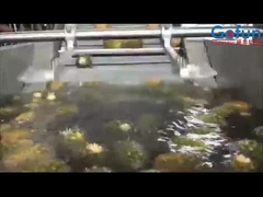 果汁 濃縮 料 など を 製造 する 高 生産 性 の アナナナス 加工 ライン