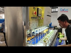 商用マンゴー剥き機 パパイア・ジャガイモ・ガロットの特殊高速剥き機