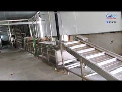 熱帯果物加工設備:パルプ+ジュース+乾燥果物3入1