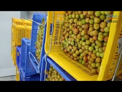 中国企業向けに5トンの生産能力を持つ梅粉加工ライン