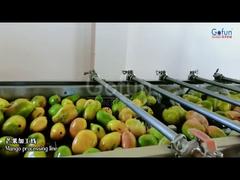 プレミアムマンゴージュースの生産ライン