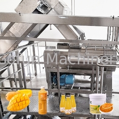 SUS304/316Lのりのマンゴの加工ライン3T/Hの込み合いの処理機械ターンキー サービス