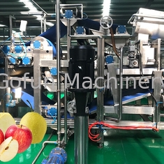 産業NFCりんごジュースの生産ラインHPPジュースの処理機械