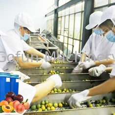 ジュースの集中を処理するフルーツ ジュースで使用される食品等級装置