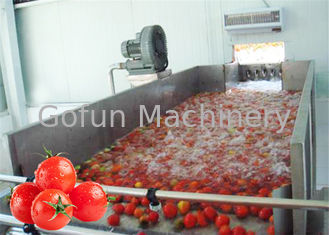 ステンレス鋼380Vの野菜加工ライン トマトのプロセス用機器