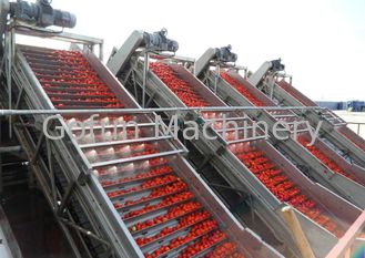 容易な操作を救う産業野菜加工ライン トマトのりの加工ライン水