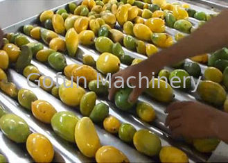 安全保護処理ステップの高性能のマンゴ ジュースの処理機械