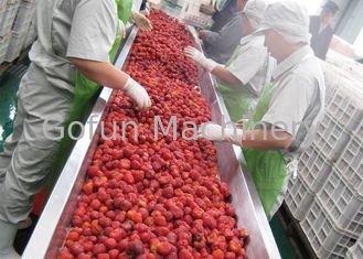 安定性が高い産業クワのラズベリーの果実のプロセス用機器