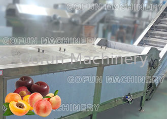 乾燥するSS 304のフルーツの加工ライン モモの製造プラント ジュースのピューレ