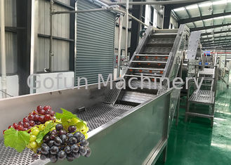 水セービングのフルーツ ジュースのプロセス用機器の環境に優しい新しいブドウの洗濯機