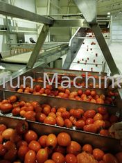 食品等級304SUSのトマトの生産ラインは100T/Dをカスタマイズした