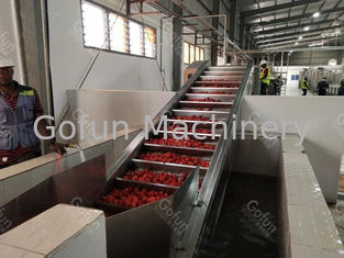 洗浄の乾燥100T/Dのための省エネのトマトのりの生産ライン