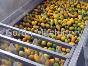 自動マンゴ ジュースの処理機械生産ライン1t/H - 20t/H